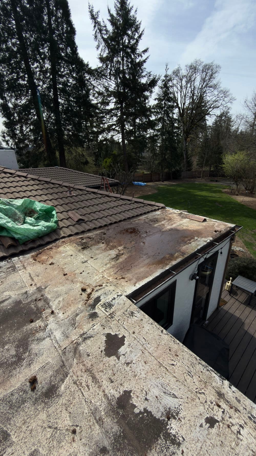 Gallery photos for Failed Flat Roof Gets a New Acrylic Coating in Happy Valley: Image #2